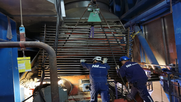 Palm Wörth - Germany, Annual Maintenance Works